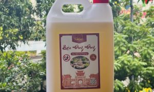 ruou-dong-dong-kim-son-ha-tho